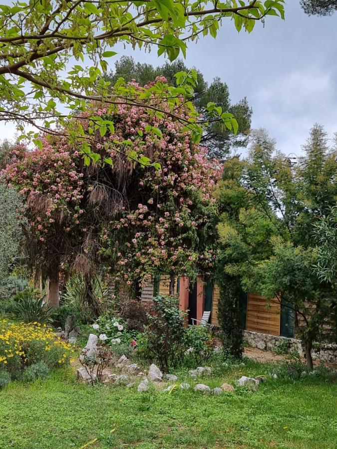 로크포르레핀 Mas D'Azur B&B 외부 사진