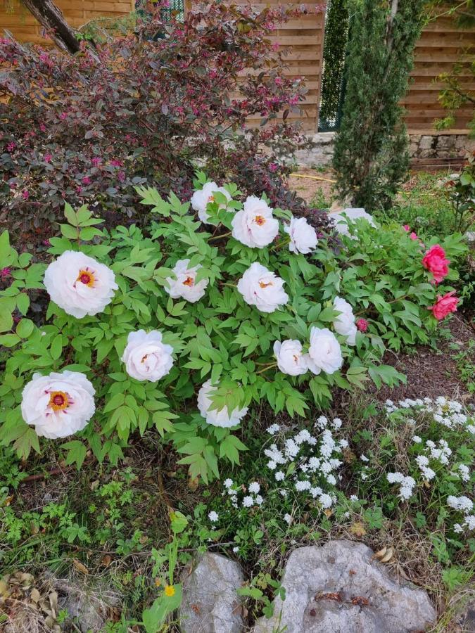 로크포르레핀 Mas D'Azur B&B 외부 사진